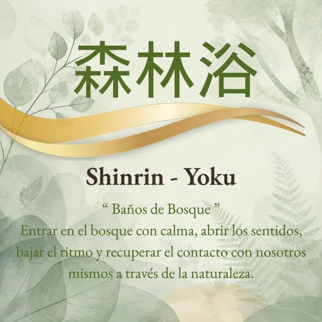 término shinrin yoku