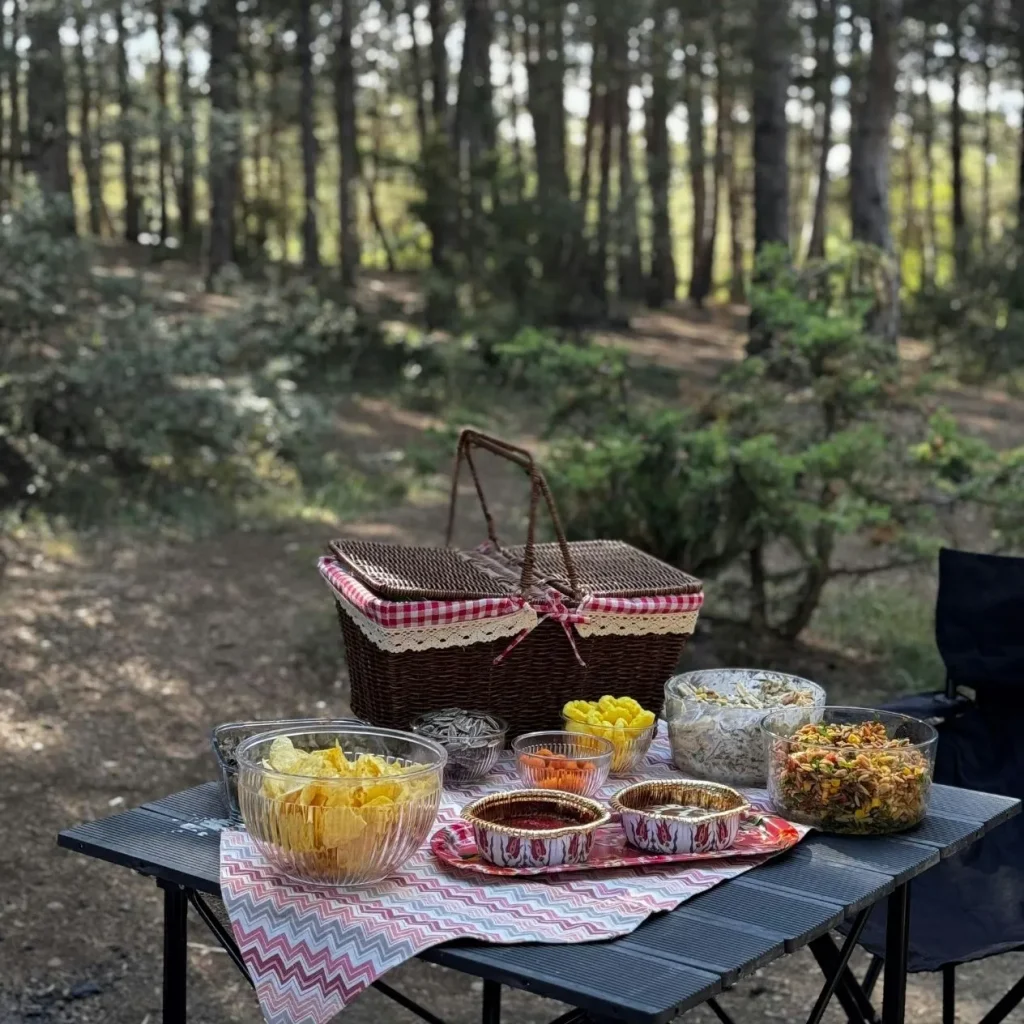 hacer un pic nic en el bosque